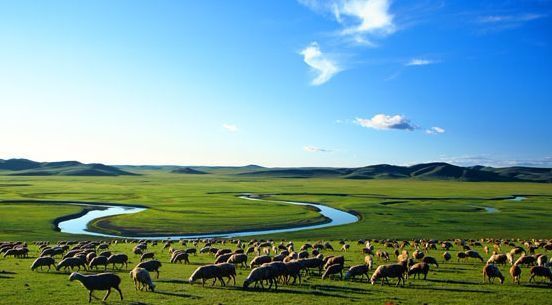 農(nóng)業(yè)農(nóng)村部：推動實施養(yǎng)殖業(yè)節(jié)糧行動